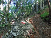 Monte Suchello (1541 m) ad anello da Costa Serina il 28 agosto 2024   - FOTOGALLERY